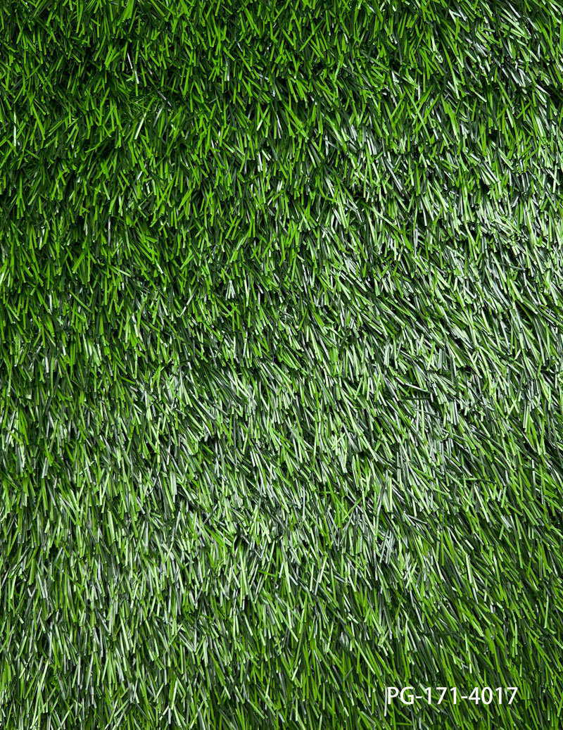 PG-171-4017