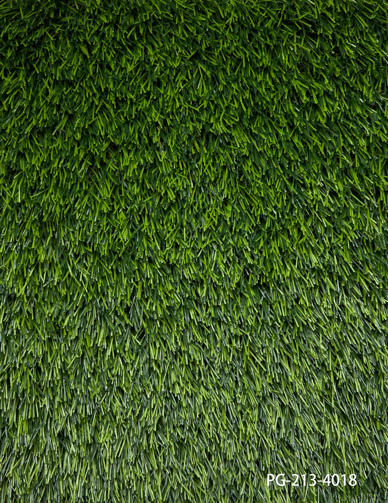PG-213-4018